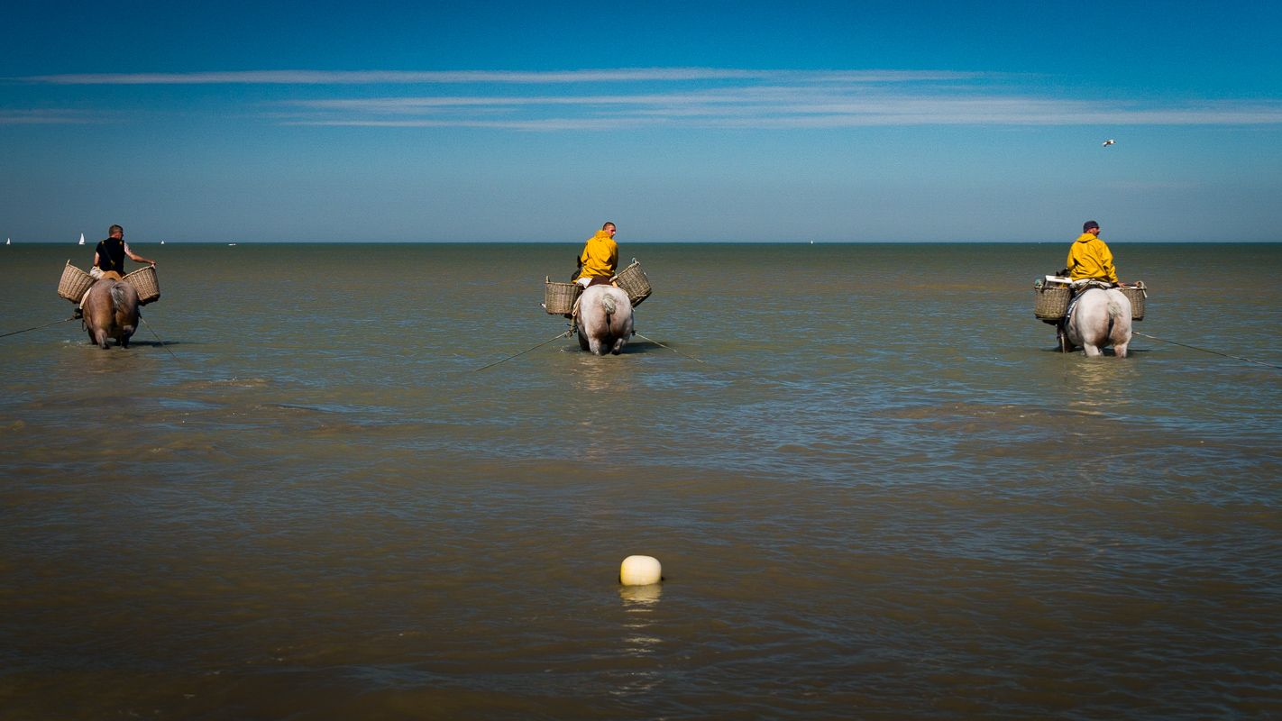 Urlaub an der Belgischen Küste – Tag 12: Die Stienestekers von Koksijde