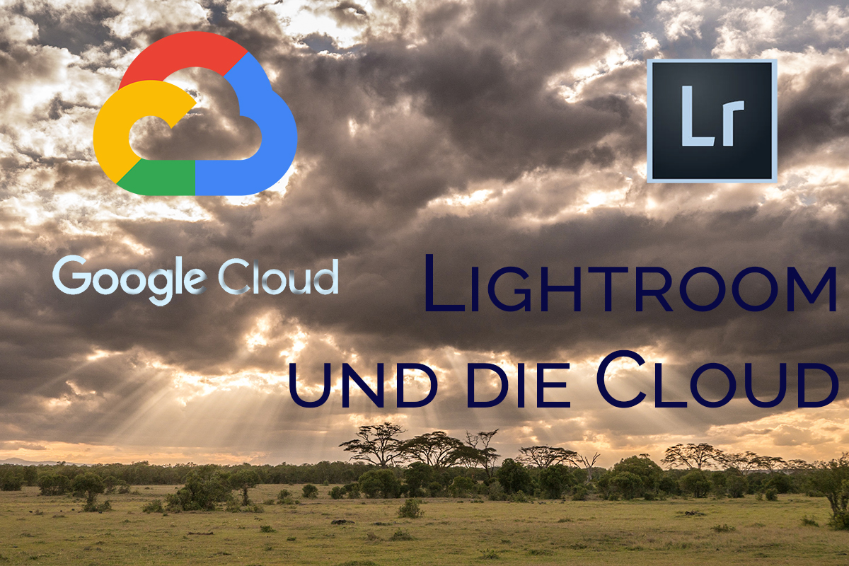 Lightroom und die Cloud – Teil 7: Automatische Verschlagwortung mit dem Any Vision-Plugin